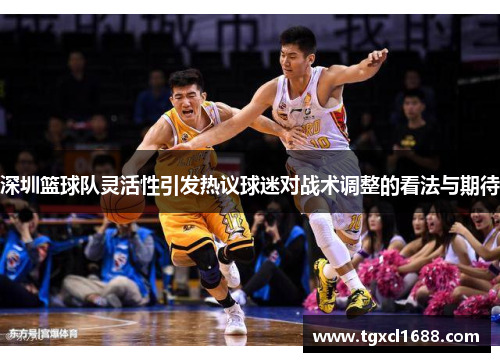 深圳篮球队灵活性引发热议球迷对战术调整的看法与期待