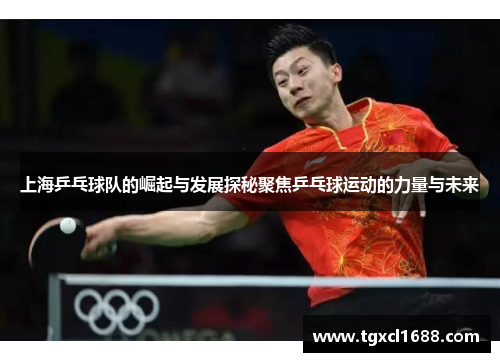上海乒乓球队的崛起与发展探秘聚焦乒乓球运动的力量与未来