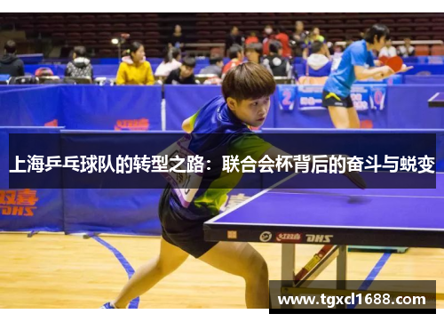 上海乒乓球队的转型之路：联合会杯背后的奋斗与蜕变