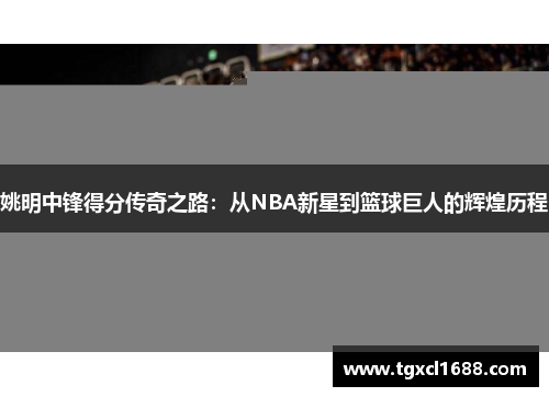姚明中锋得分传奇之路：从NBA新星到篮球巨人的辉煌历程
