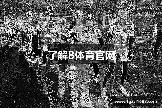 了解B体育官网