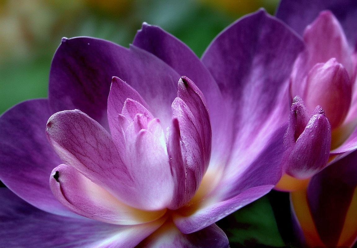 球队惨败45分：防守体系崩塌、进攻滞涩与阵容深度不足，交易重建迫在眉睫